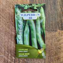 Gourgane 'Express' (Primo)