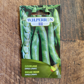 Sachet de semences W. H. Perron : Gourgane (Vicia faba 'Express'). L'emballage présente le nom de la sélection et une illustration de la plante ou de la récolte. Cette photographie montre la face avant du sachet, avec les renseignements imprimés visibles et les éléments graphiques qui permettent de reconnaître le produit parmi les autres semences de la gamme.