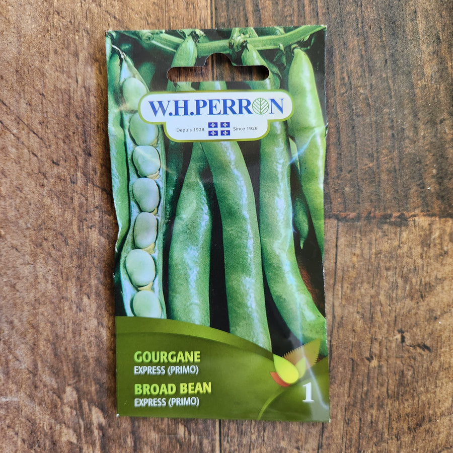 Sachet de semences W.H. Perron : Gourgane (Vicia faba ‘Express’). L’emballage présente le nom de la sélection et une illustration de la plante ou de la récolte. Cette photographie montre la face avant du sachet, avec les renseignements imprimés visibles et les éléments graphiques qui permettent de reconnaître le produit parmi les autres semences de la gamme.