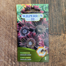 Sachet de semences W.H. Perron : Tournesol (Helianthus annuus ‘Chocolate Cherry’). L’emballage présente le nom de la sélection et une illustration de la plante ou de la récolte. Cette photographie montre la face avant du sachet, avec les renseignements imprimés visibles et les éléments graphiques qui permettent de reconnaître le produit parmi les autres semences de la gamme.