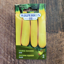 Zucchini jaune