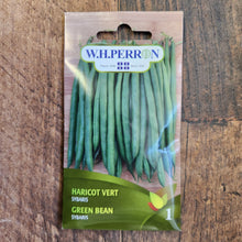 Haricot vert 'Sybaris'