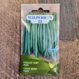 Haricot vert 'Sybaris'