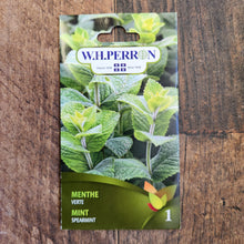 spearmint