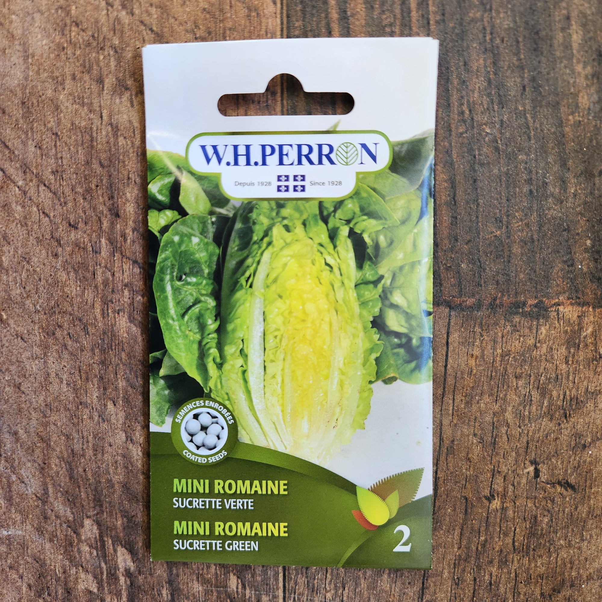 Laitue mini romaine 'Sucrette Verte'
