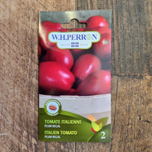 Tomate italienne 'Plum Regal'