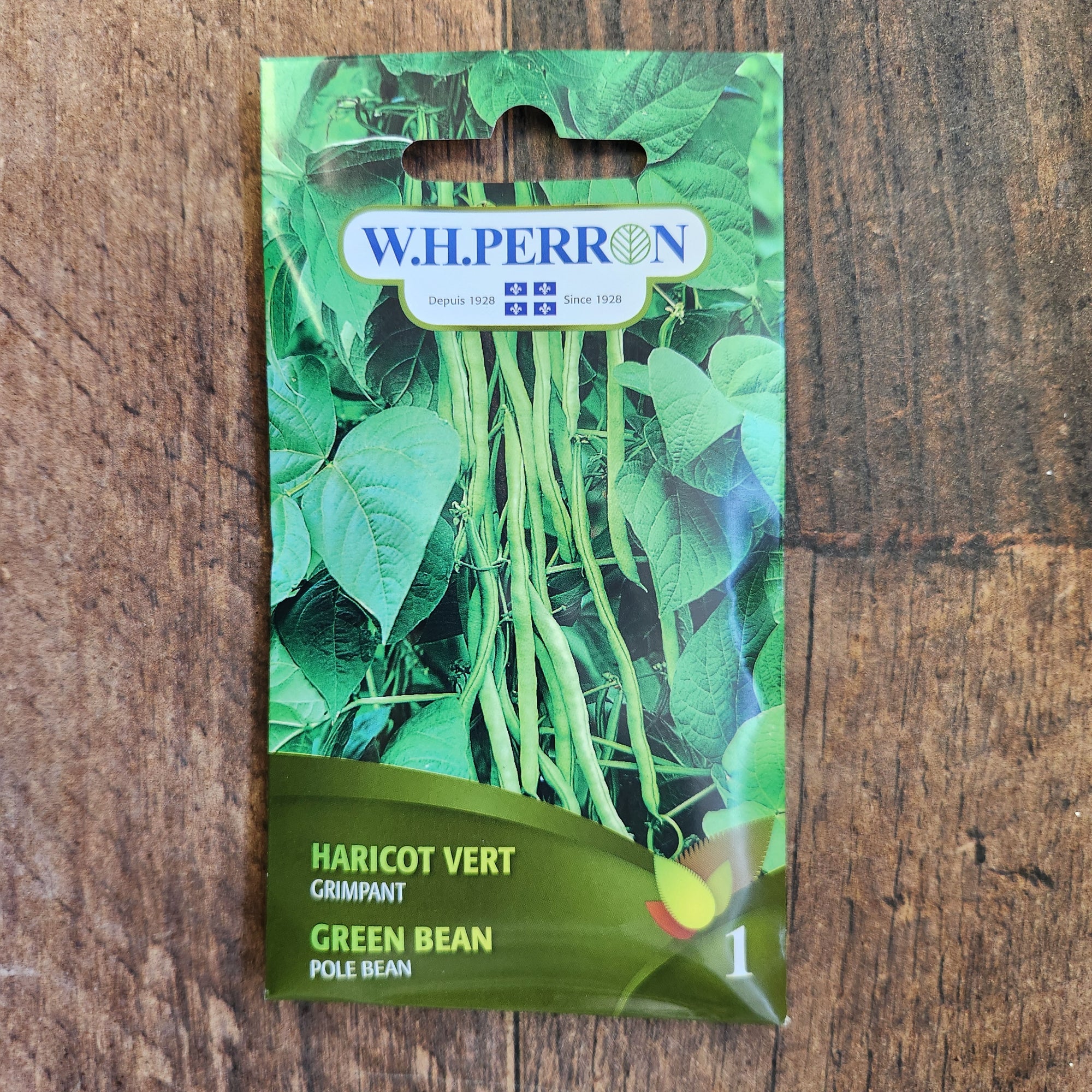 Haricot grimpant vert