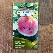 Watermelon 'Sugar Baby'
