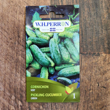 Concombre à cornichon vert