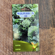 Rapini