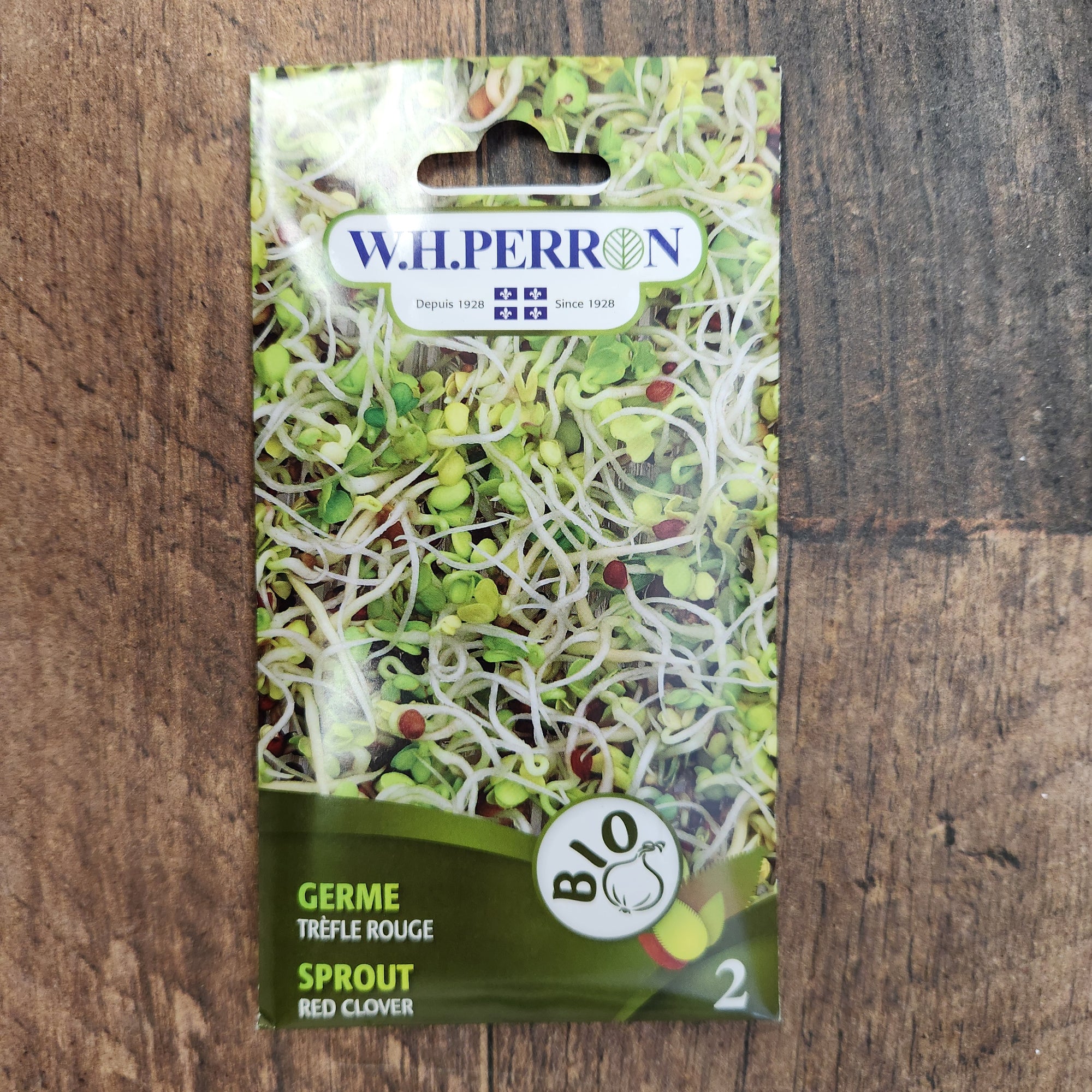 Red clover sprout