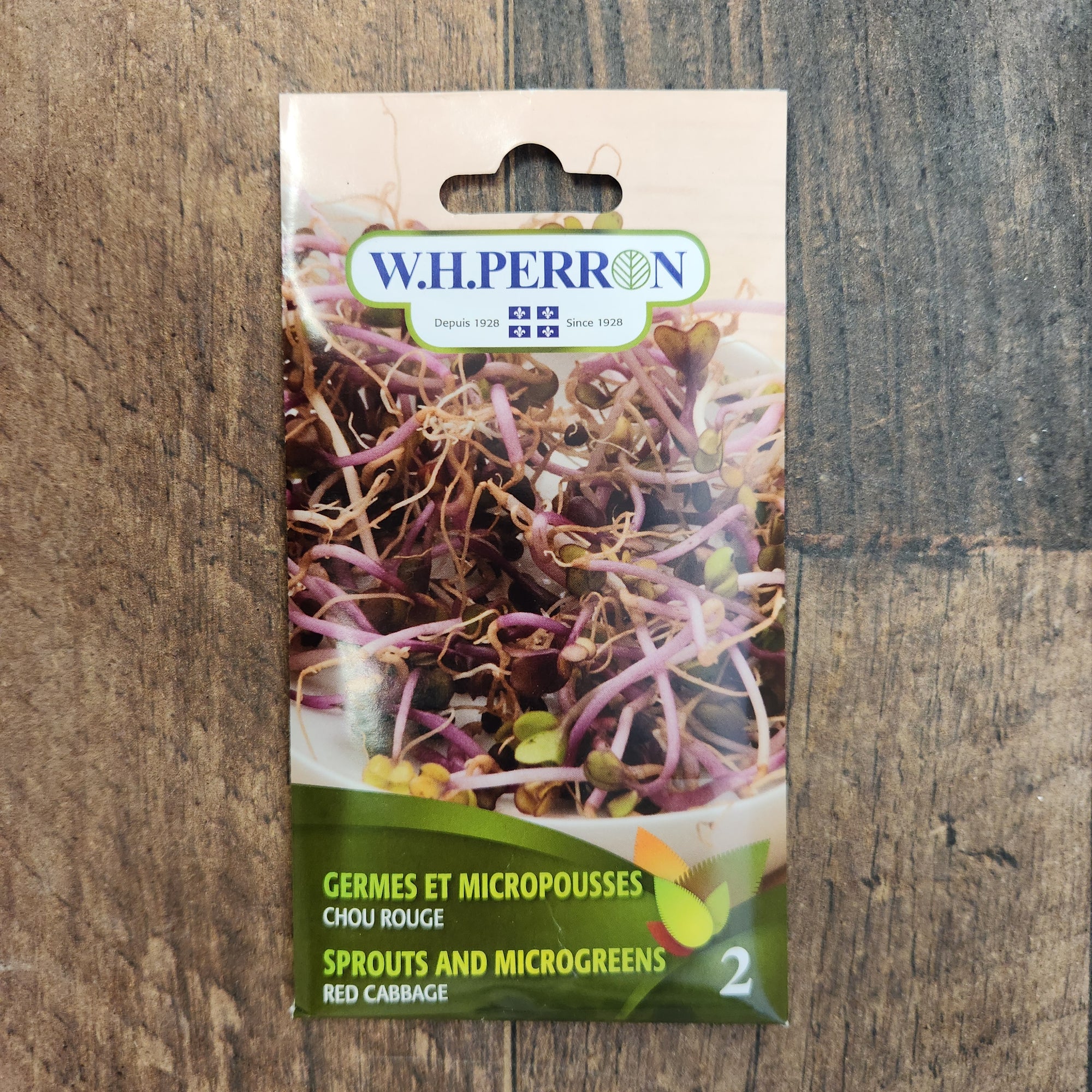 Red cabbage sprout