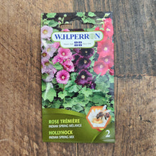 Mélange de rose trémière 'Indian Spring'