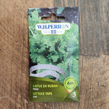 Laitue frisée sur ruban