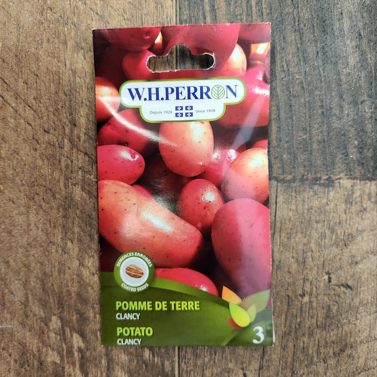 Pomme de terre rouge 'Clancy'