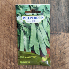 Pois mange-tout
