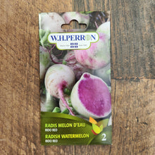 Radis melon d'eau 'Rido Red'