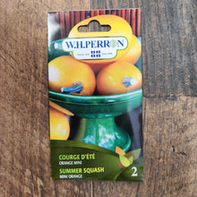 Courge 'Spaghetti Orange Mini'