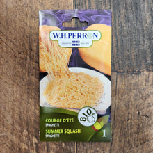 Courge 'Spaghetti' bio