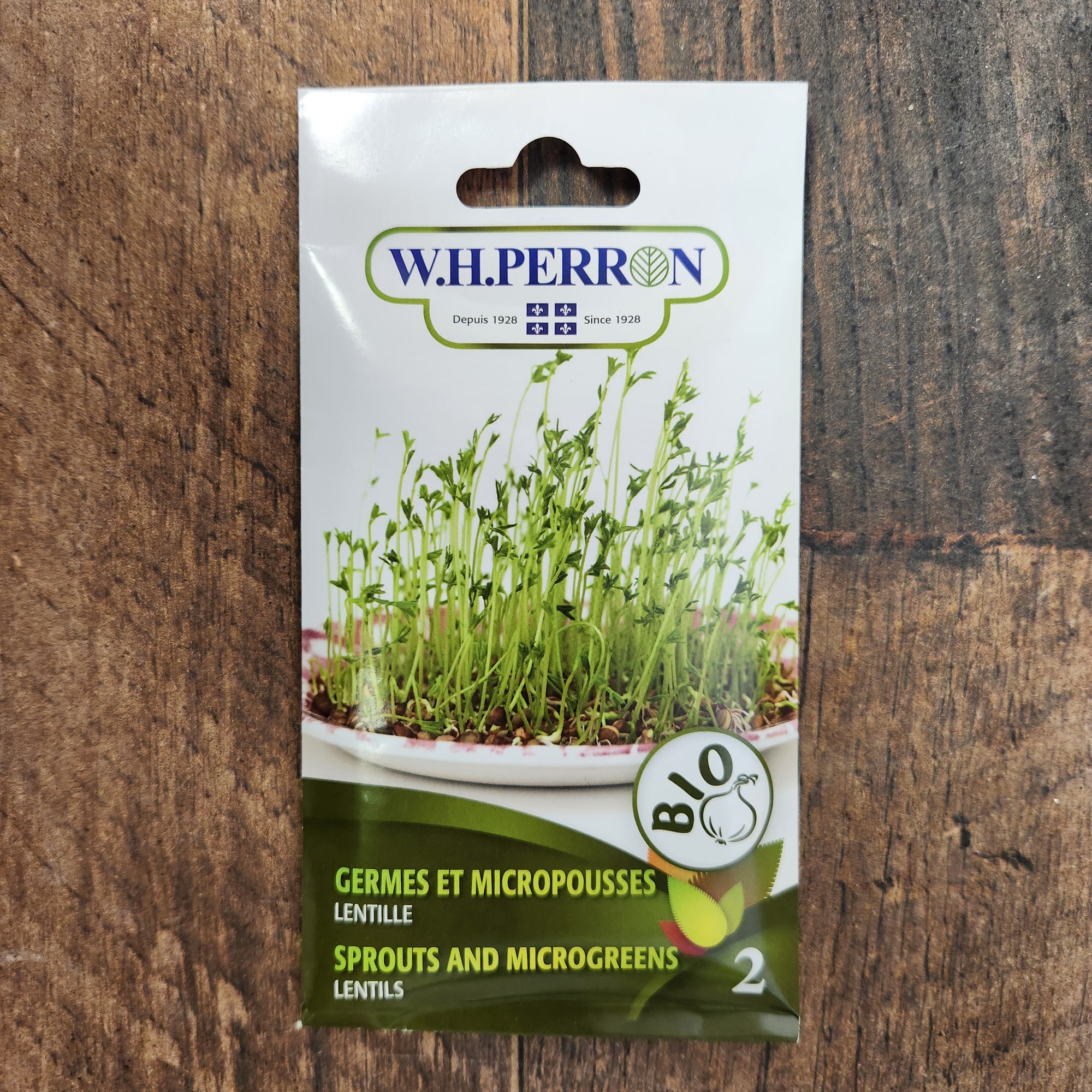 Lentil sprout organic