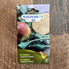 Rutabaga 'Laurentien Thomson'