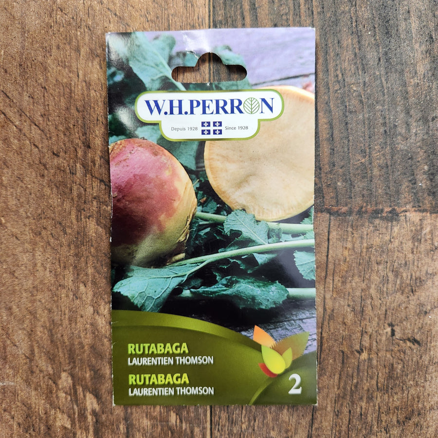 Sachet de semences W.H. Perron : Rutabaga (Brassica napus var. napobrassica ‘Laurentien Thomson’). L’emballage présente le nom de la sélection et une illustration de la plante ou de la récolte. Cette photographie montre la face avant du sachet, avec les renseignements imprimés visibles et les éléments graphiques qui permettent de reconnaître le produit parmi les autres semences de la gamme.