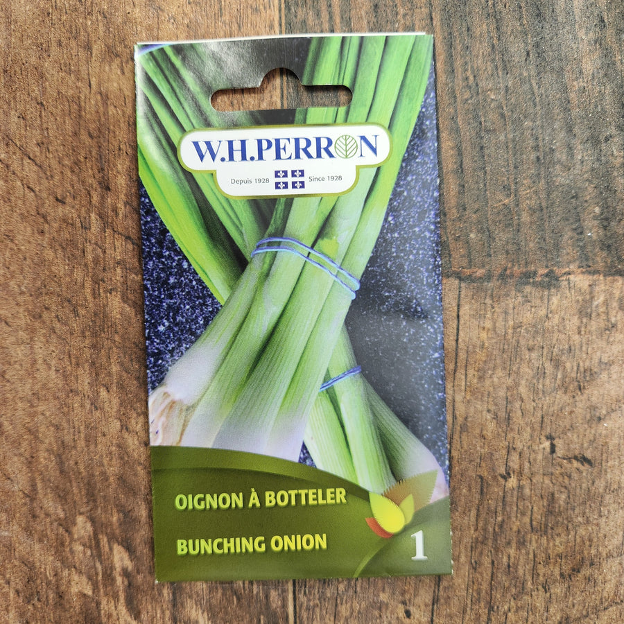 Sachet de semences W.H. Perron : Oignon à botteler (Allium fistulosum). L’emballage présente le nom de la sélection et une illustration de la plante ou de la récolte. Cette photographie montre la face avant du sachet, avec les renseignements imprimés visibles et les éléments graphiques qui permettent de reconnaître le produit parmi les autres semences de la gamme.