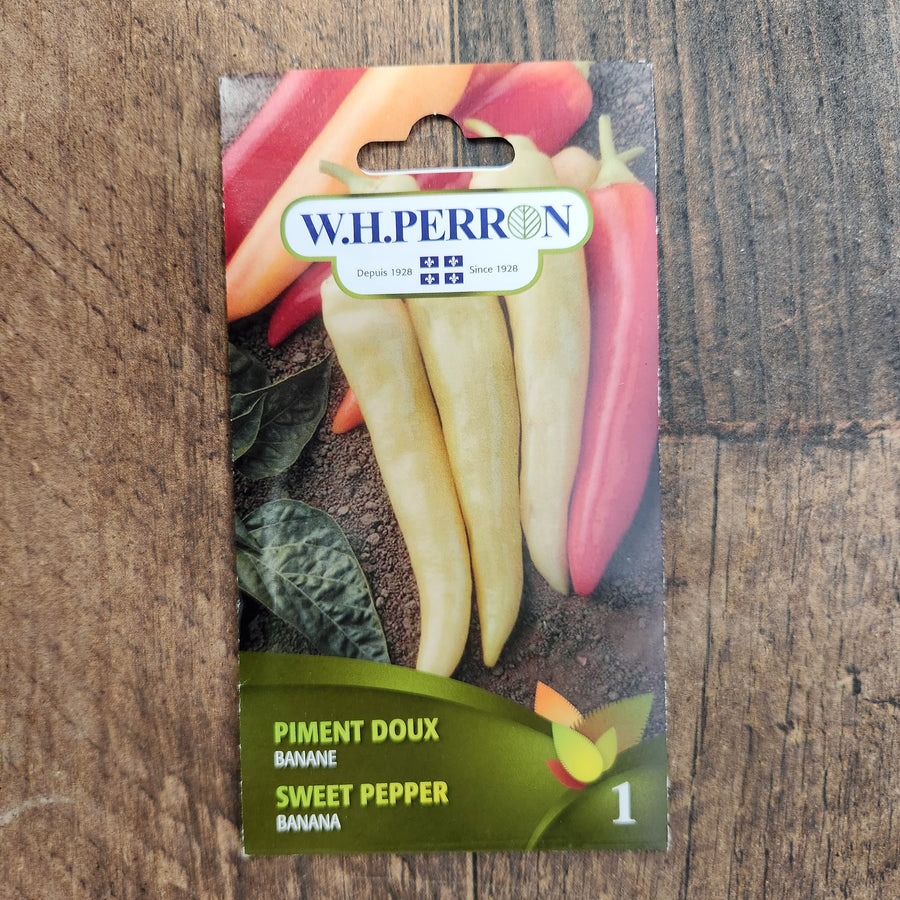 Sachet de semences W.H. Perron : Poivron (Capsicum annuum ‘Banane’). L’emballage présente le nom de la sélection et une illustration de la plante ou de la récolte. Cette photographie montre la face avant du sachet, avec les renseignements imprimés visibles et les éléments graphiques qui permettent de reconnaître le produit parmi les autres semences de la gamme.