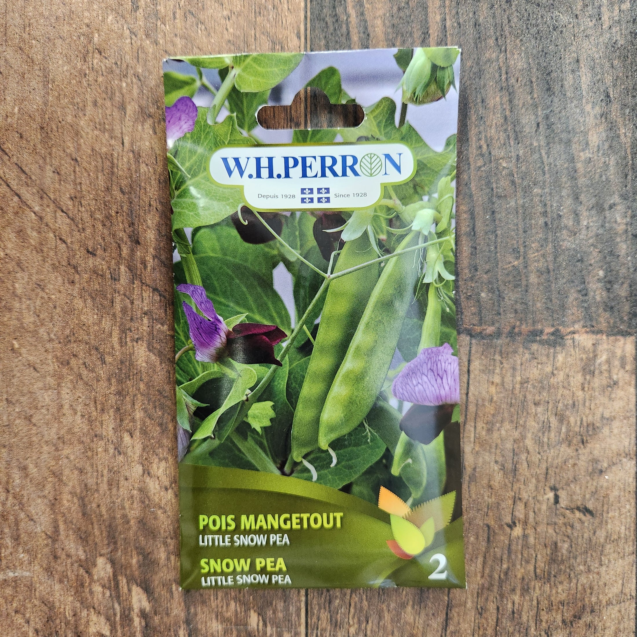 Pois mange-tout 'Little Snow Pea'