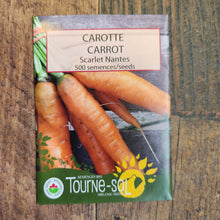 Organic 'Scarlet Nantes' carrot