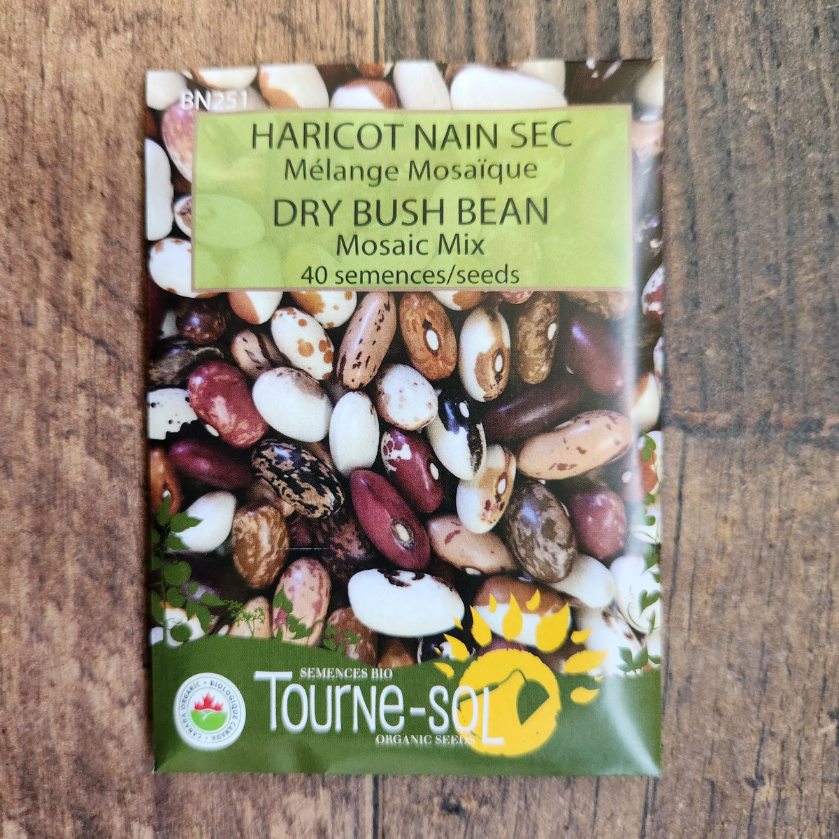 Mélange mosaïque de haricots nains secs (Phaseolus vulgaris)