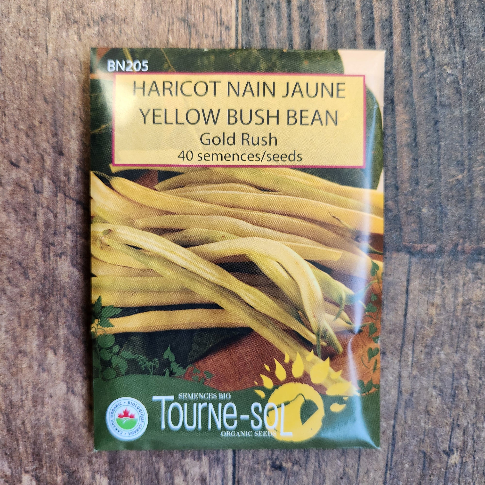 Haricot nain jaune ‘Gold Rush’ (Phaseolus vulgaris)