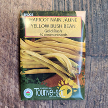Organic 'Gold Rush' Yellow Dwarf Bean