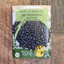 Organic dried dwarf bean 'Black Turtle'