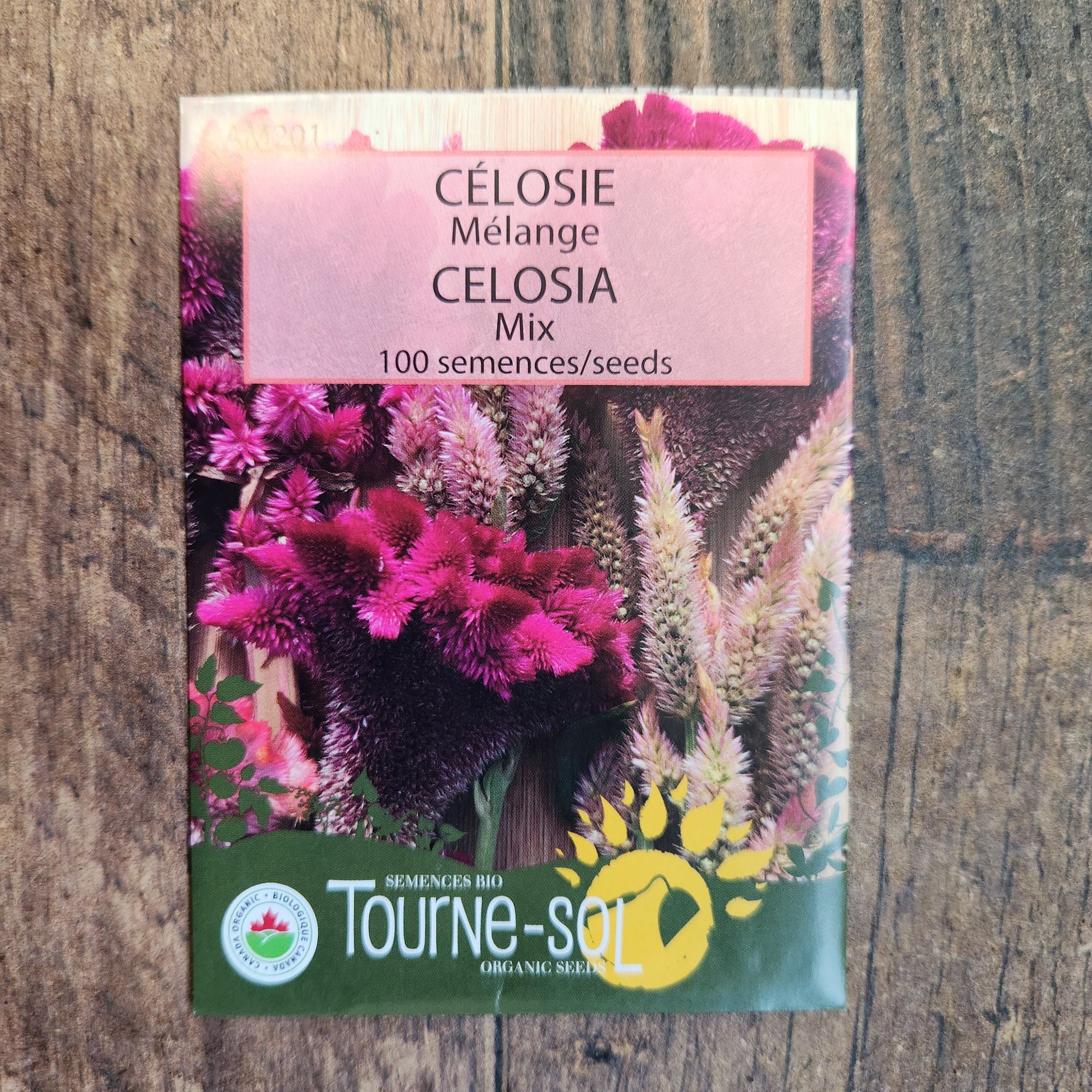Celosia mix (<em>Celosia cristata</em>)