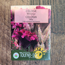 Mélange de célosies bio