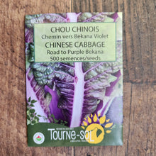 Organic Chinese cabbage 'Path to Bekana'