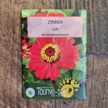 Zinnia 'Gift' bio