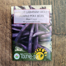 Organic 'Blue Coco' climbing bean