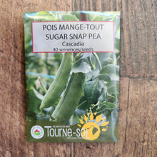 Pois mange-tout 'Cascadia' bio