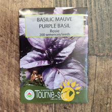 Organic 'Rosie' Purple Basil