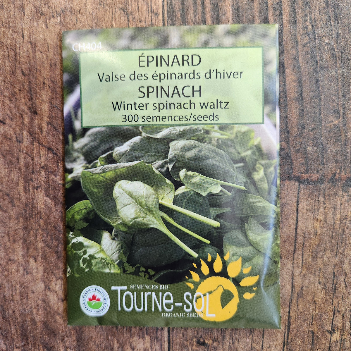 Épinard ‘Valse d’hiver’ (<em>Spinacia oleracea</em>)