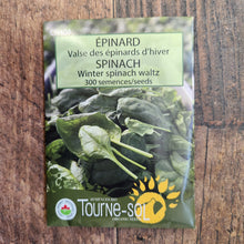 Épinard ‘Valse d’hiver’ (<em>Spinacia oleracea</em>)