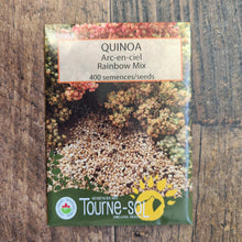 Organic rainbow quinoa