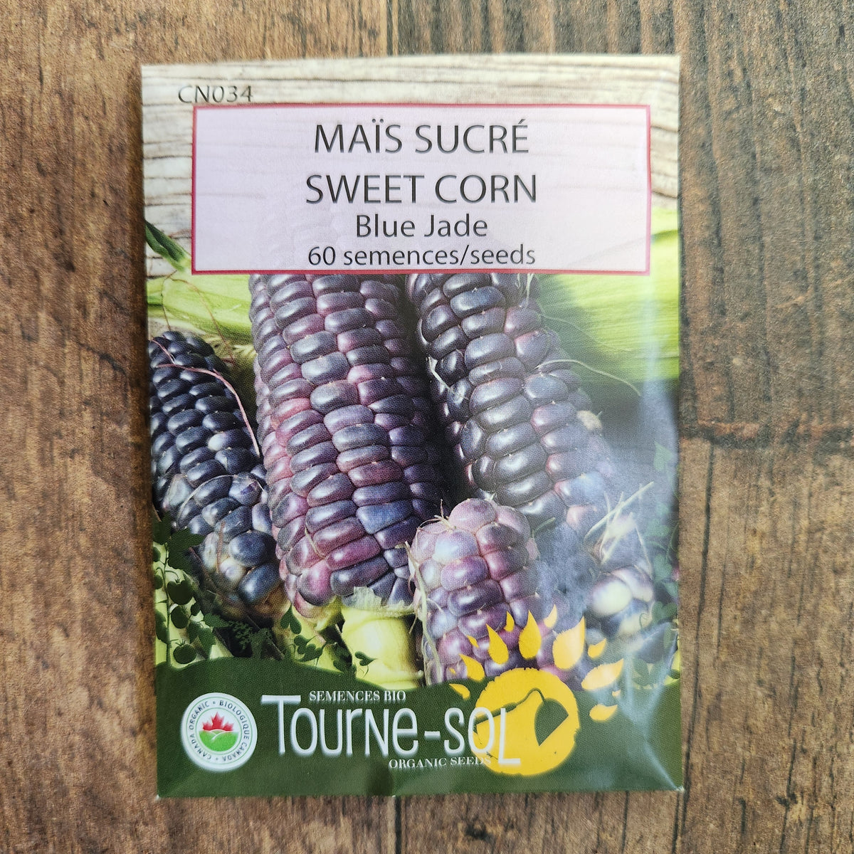 Sweet corn ‘Blue Jade’ (Zea mays)