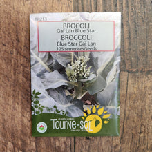 Organic 'Gai Lan Blue Star' Broccoli
