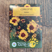 Coreopsis 'Hohe' bio