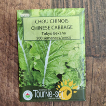 Organic Chinese cabbage 'Tokyo Bekana'