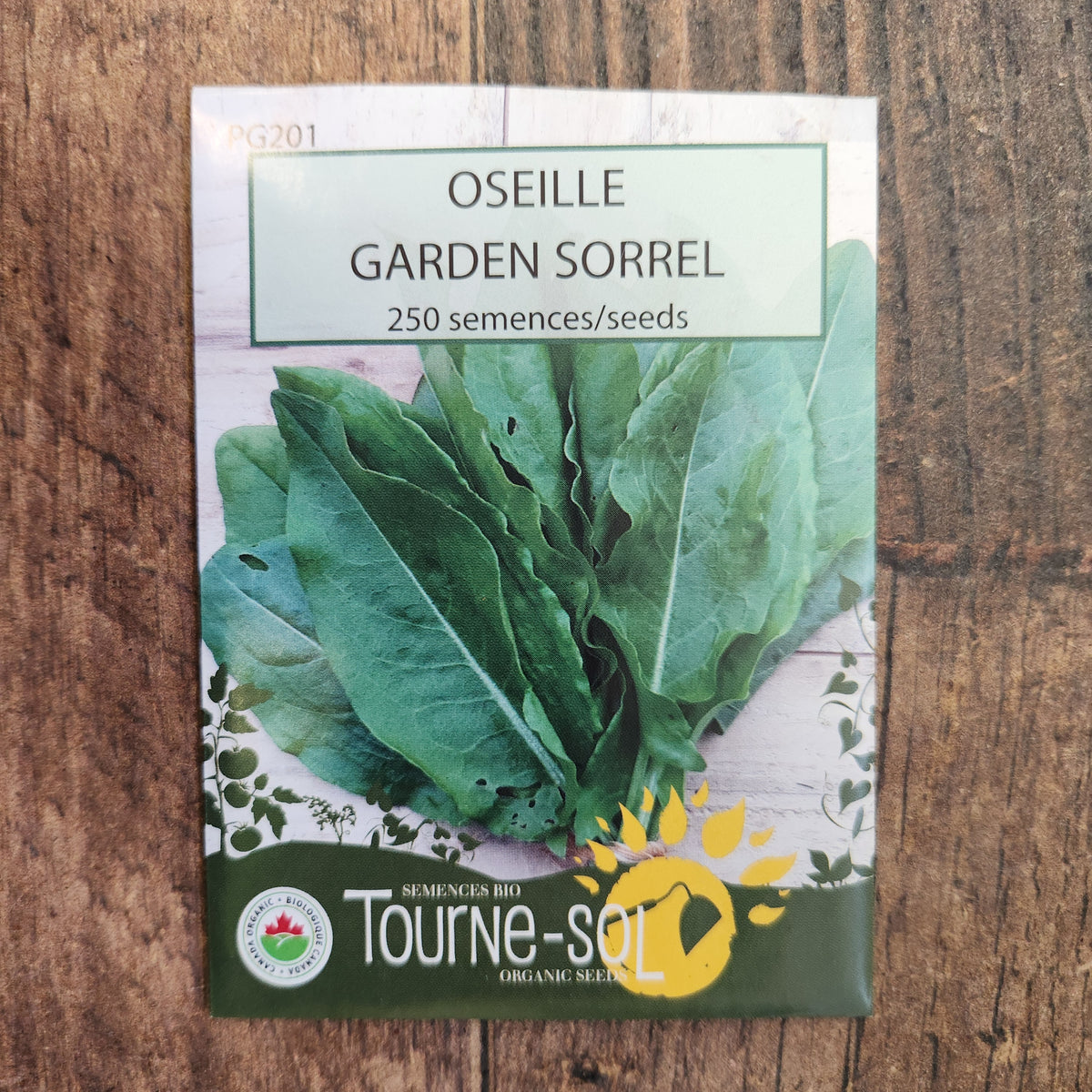 Sorrel (Rumex acetosa)
