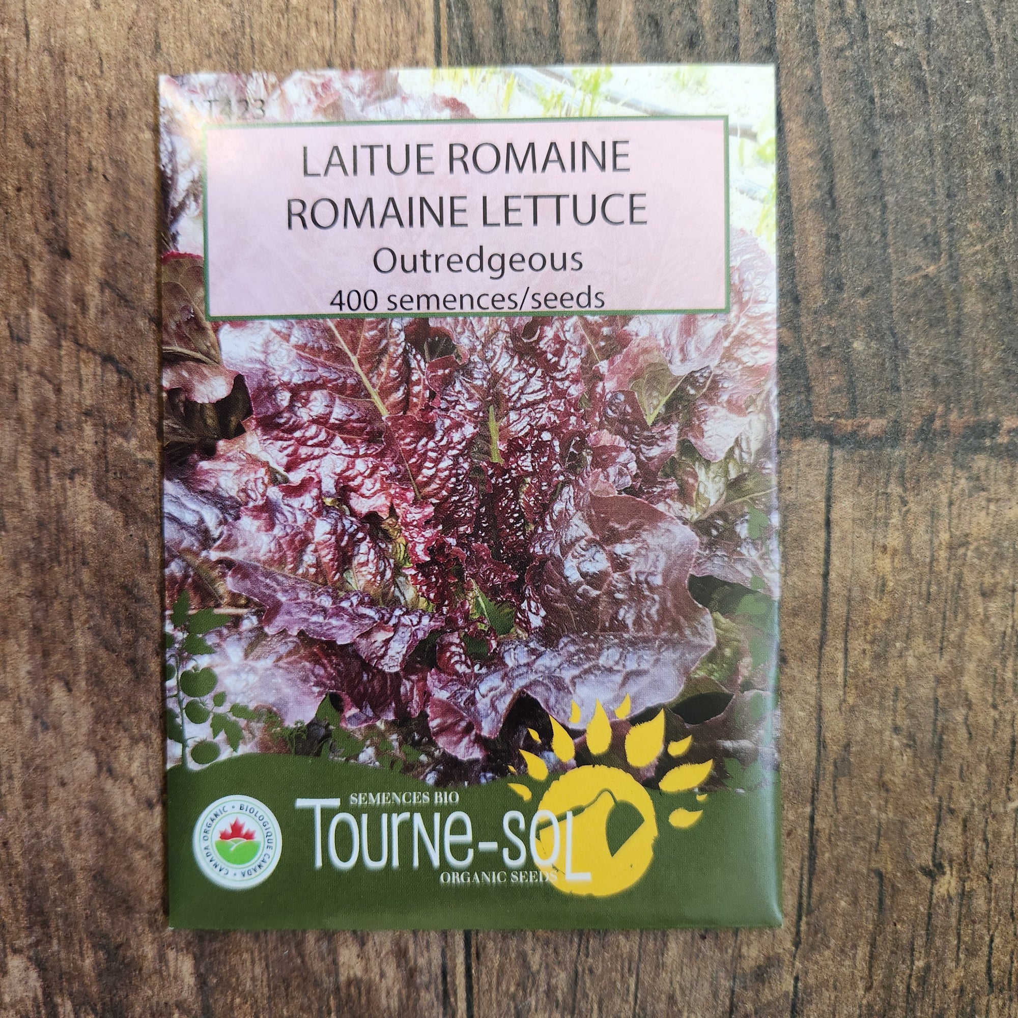 Laitue romaine ‘Outredgeous’ (<em>Lactuca sativa var. longifolia</em>)